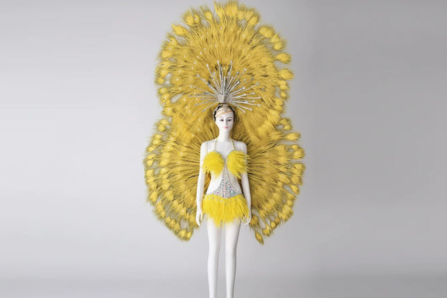 Showgirl Feather Backpiece with Rhinestone Burst Headdress Costume Set