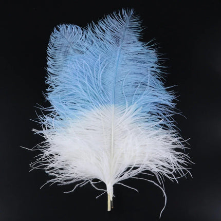 10PC Two-Tone Decorative Feather Plumes
