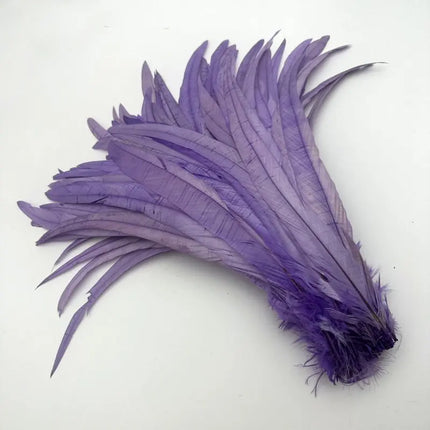 50PCS Two-Tone Rooster Tail Feathers (35-40CM)