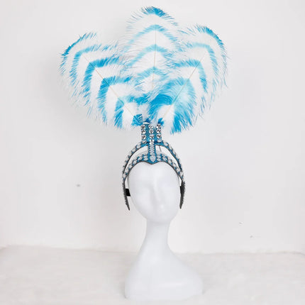 Striped Feather Headdress