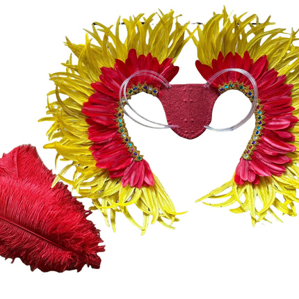 Two-Tone Feather Wing Backpiece Stage Costume Accessory