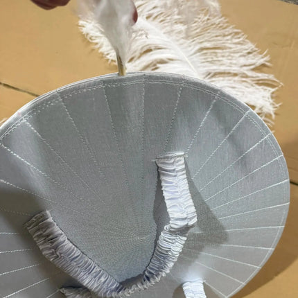 Feather Backpiece and Plume Headdress Set