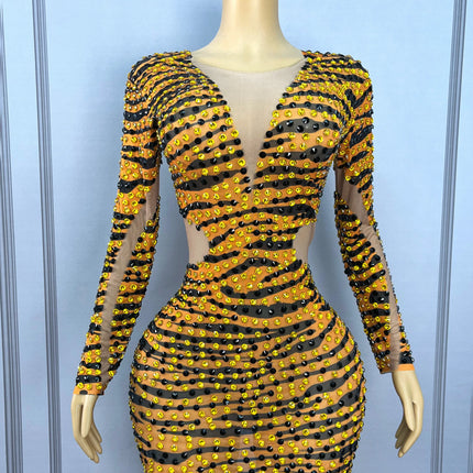 Tiger Print Rhinestone Mesh Long-Sleeve Mini Dress Deep V-Neck Stage Costume