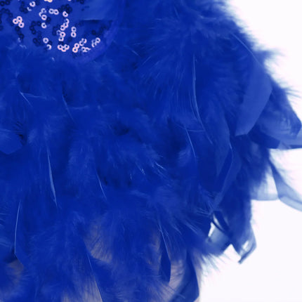 The Stardust Empress Royale – Sequined & Feathered Latin Dance Leotard Dress