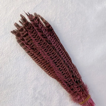 Natural Female Pheasant Tail Feathers (100PCS)
