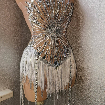 Sparkly Silver Rhinestone & Long Tassel Fringe Leotard Stage Performance Costume