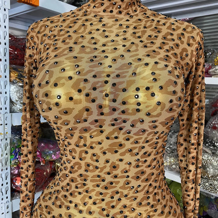 Leopard Print Rhinestone Catsuit Long Sleeve Stage Performance Jumpsuit