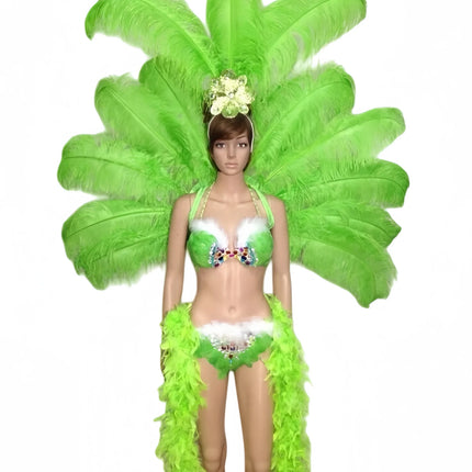 The Stardust Victoria Sovereign – Deluxe Angel Feather Wing & Headdress Stage Costume Set
