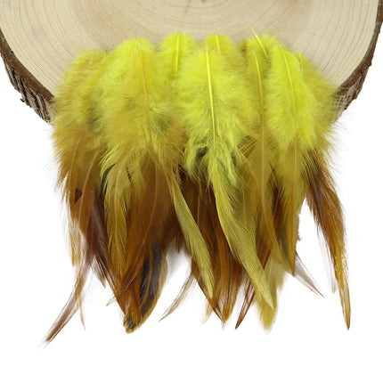 Natural Rooster Craft Feathers Bulk Pack
