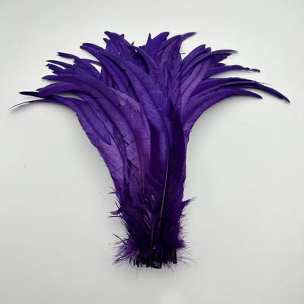 50PCS Two-Tone Rooster Tail Feathers (35-40CM)