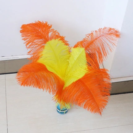 10PC Two-Tone Decorative Feather Plumes