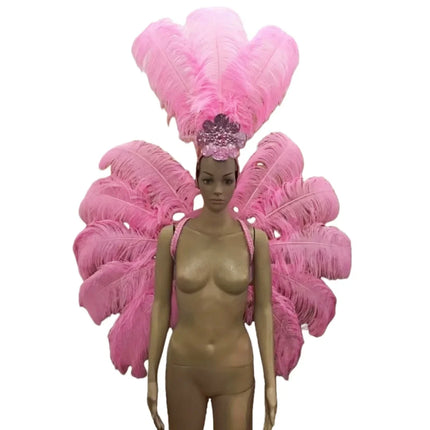 Feather Backpiece and Plume Headdress Set