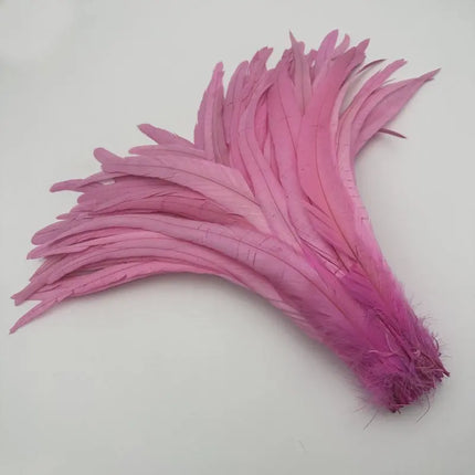 50PCS Two-Tone Rooster Tail Feathers (35-40CM)
