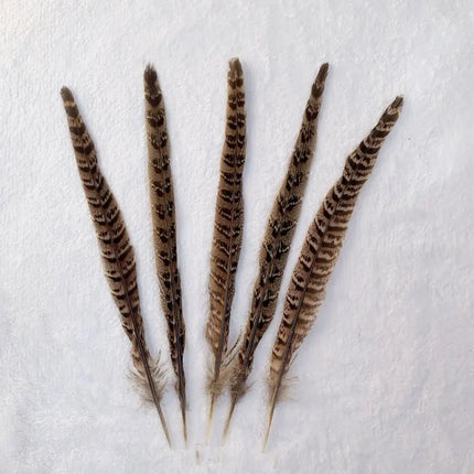 Natural Female Pheasant Tail Feathers (100PCS)