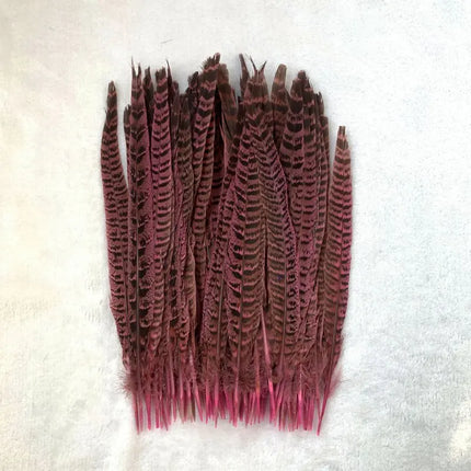 Natural Female Pheasant Tail Feathers (10pcs/lot)