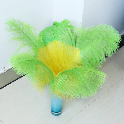 10PC Two-Tone Decorative Feather Plumes
