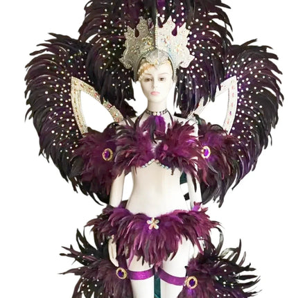 Jewel-Toned Feathered Wings and Headdress Set
