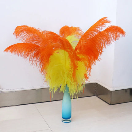 10PC Two-Tone Decorative Feather Plumes