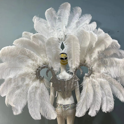 Grand Feathered Wing and Headdress Costume Set