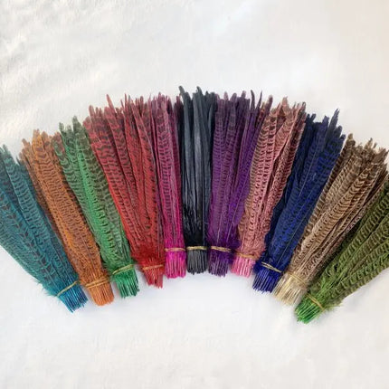 Natural Female Pheasant Tail Feathers (10pcs/lot)