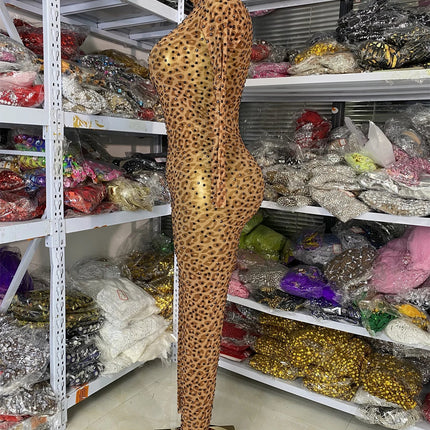 Leopard Print Rhinestone Catsuit Long Sleeve Stage Performance Jumpsuit
