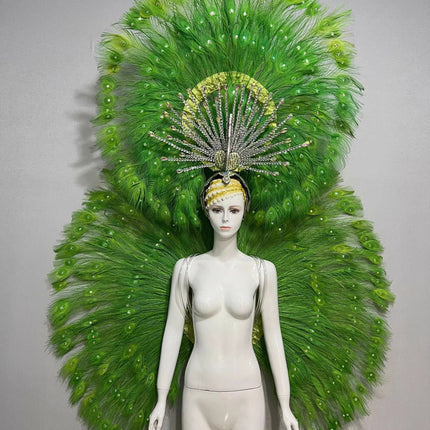 Showgirl Feather Backpiece and Rhinestone Headdress Set
