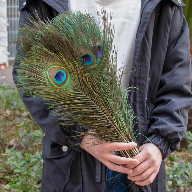 Wholesale Real Peacock Feathers (50-100/lot)