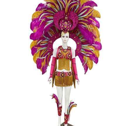 Regal Feathered Backpiece and Rhinestone Costume Set