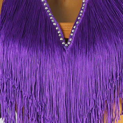 Sleeveless Latin Dance Fringe Dress & Competition Performance Costume