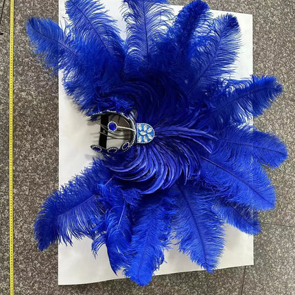 The Stardust Samba Enchantment – Exquisite Feathered Dance & Stage Headdress