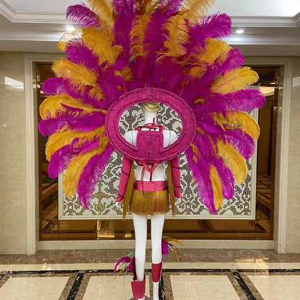 Regal Feathered Backpiece and Rhinestone Costume Set