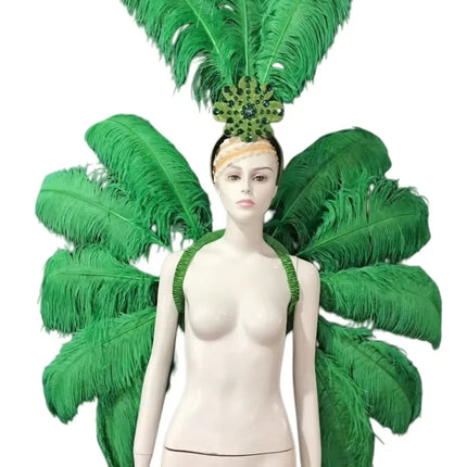 Feather Backpiece and Plume Headdress Set