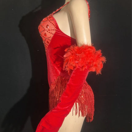 Sparkly Rhinestone & Sequin Tassel Bodysuit with Feathers & Gloves Costume Set