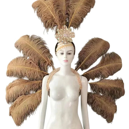 Feather Backpiece and Plume Headdress Set