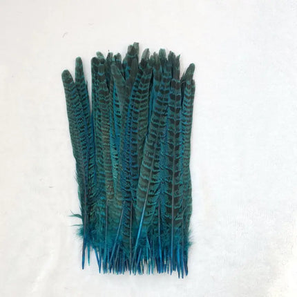 Natural Female Pheasant Tail Feathers (10pcs/lot)