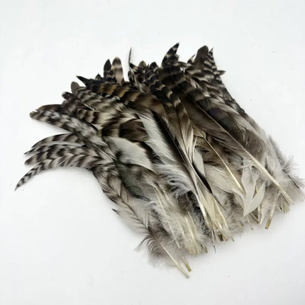 100PCS Natural Barred Rooster Tail Feathers (15-45CM)