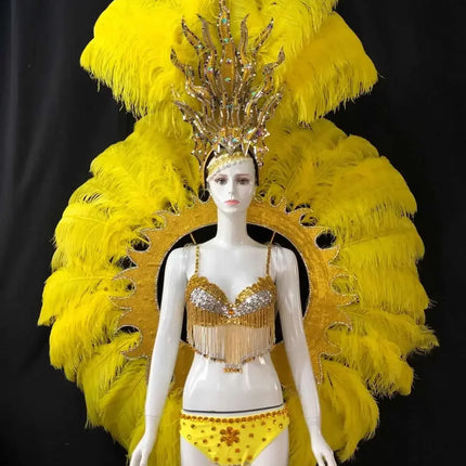 Feathered Carnival Headdress and Backpack Wing Set