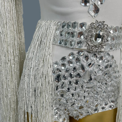 The Stardust Cascade Fringe Bodysuit – Luxury Rhinestone Long-Sleeve Showgirl Costume