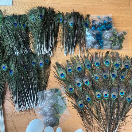 Wholesale Real Peacock Feathers (50-100/lot)