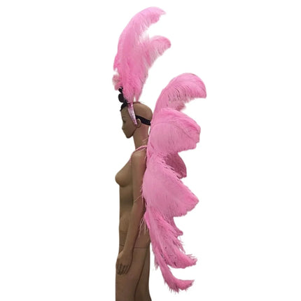 Feather Backpiece and Plume Headdress Set