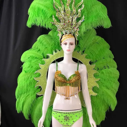 Feathered Carnival Headdress and Backpack Wing Set