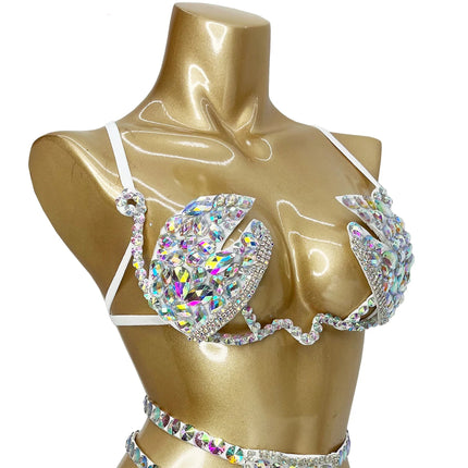 Sparkly Samba Carnival Stone Wire Bra & Bikini Bottom Set Stage Costume