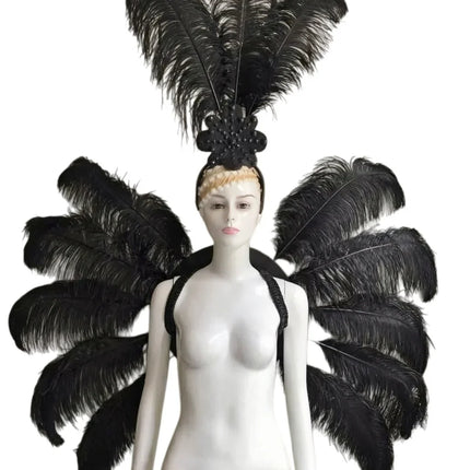 Feather Backpiece and Plume Headdress Set