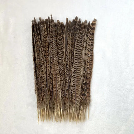 Natural Female Pheasant Tail Feathers (10pcs/lot)