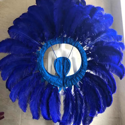 Feathered Carnival Headdress and Backpack Wing Set