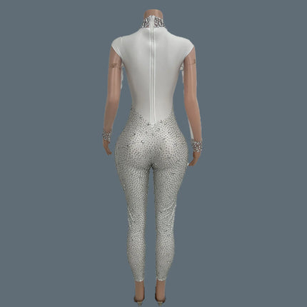 Sparkly Crystal Mesh Sheer Illusion Jumpsuit Stage Catsuit Costume