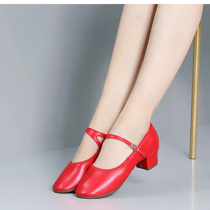 The Stardust Carousel Mary Jane – Classic Low-Heel Dance Pump