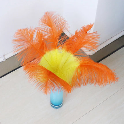 10PC Two-Tone Decorative Feather Plumes