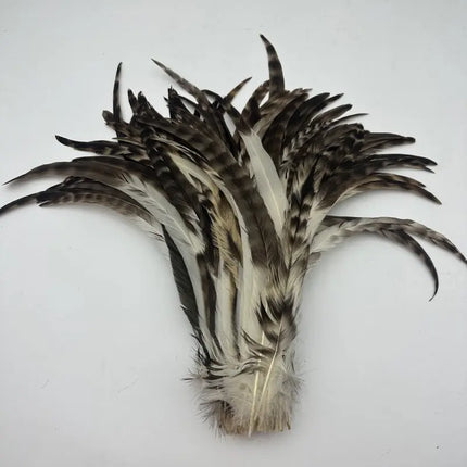 100PCS Natural Barred Rooster Tail Feathers (15-45CM)