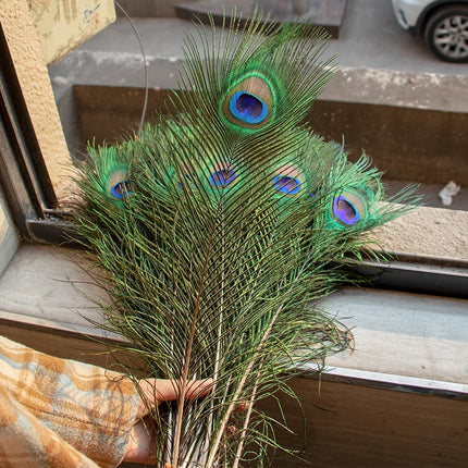 Wholesale Real Peacock Feathers (50-100/lot)
